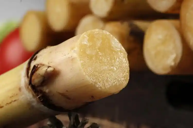 白玉甘蔗丨电商平台客户约拍丨飞鸟电商陈默