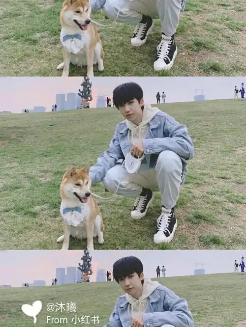 时代少年团贺峻霖三宫格高清手机壁纸