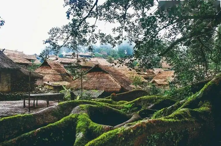 乡村旅游看临沧丨翁丁村风俗