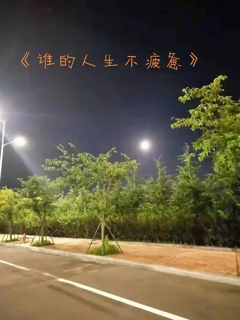 图文来了在这个成王败寇的社会很残酷很现实,所以我一直告诉自 -抖