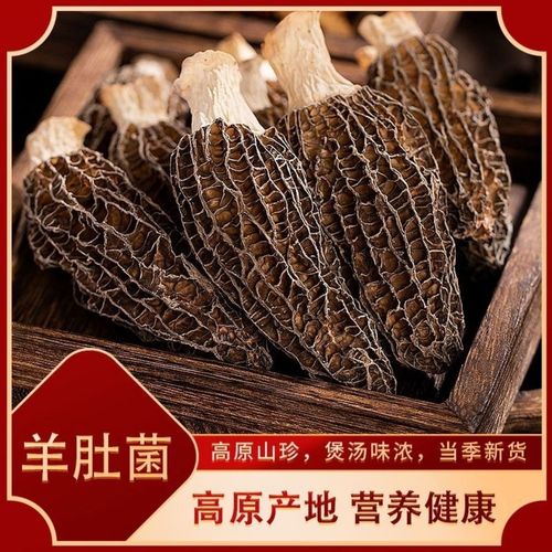 羊肚菌干货500g云南土特产食用菌类野生特级新鲜蘑菇香菇煲汤火锅