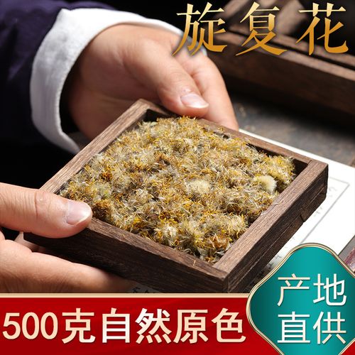 旋覆花中药材旋复花250g野生菊六月菊 金佛花02显脉旋复花