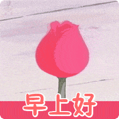 早上好小可爱表情包动图_手机搜狐网