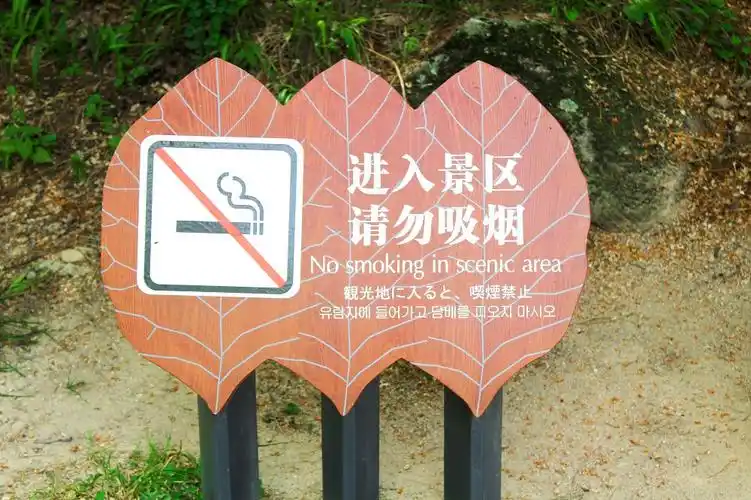 道路指示牌,其实就是引导景区内方向的牌子,这类指示牌在景区的需求量