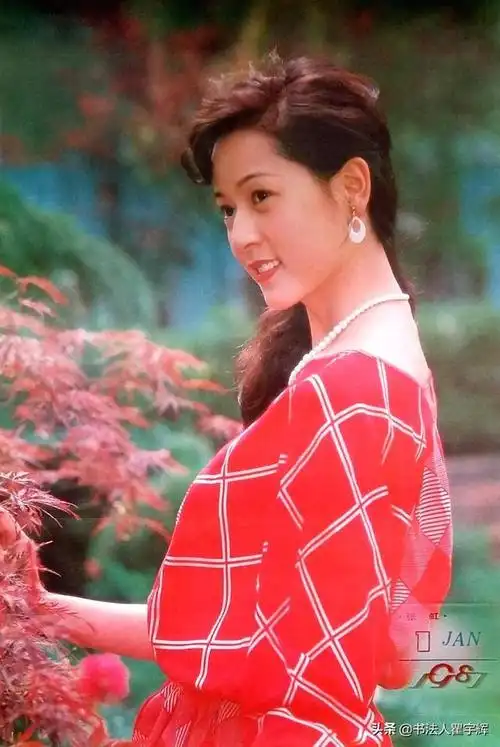 1,林芳兵,1987年《祝你幸福》老挂历封面上的美女明星.