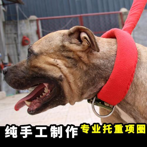 比特犬拖重项圈耐力肌肉训练中大型猛犬拖脖套负重铁链
