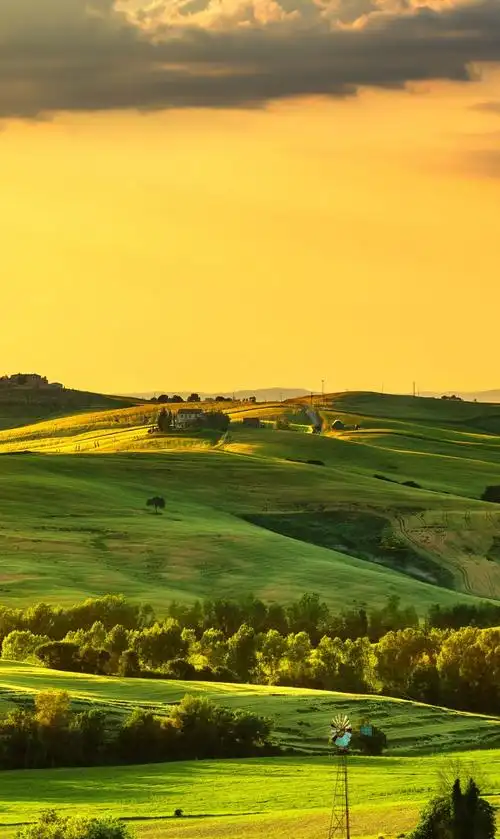 草原壁纸高清版 - 实验室设备网