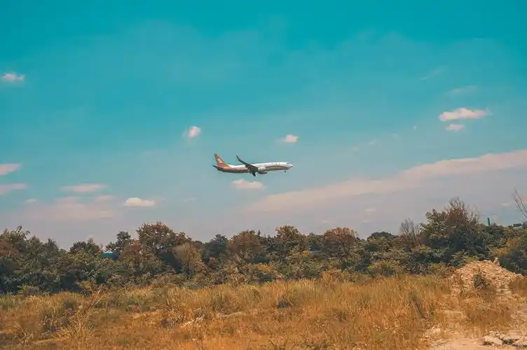 ins风青橙色 - awaresmlie - 图虫