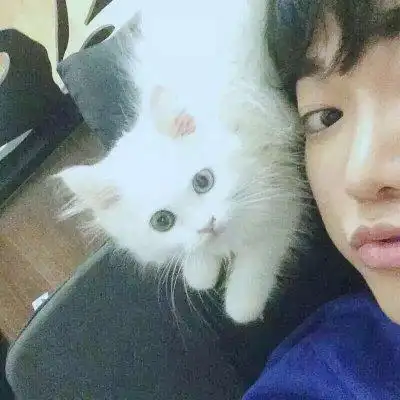 微信个性猫控男生头像