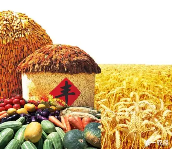 秋天丰收季节句子秋天丰收的季节诗词