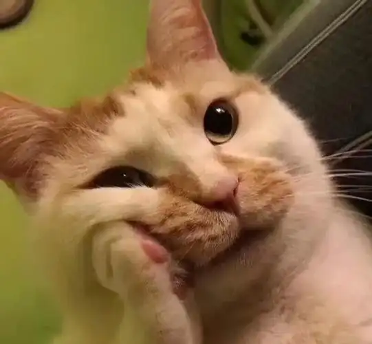 小车司机走神径直怼上摩托车监控记录下整个过程