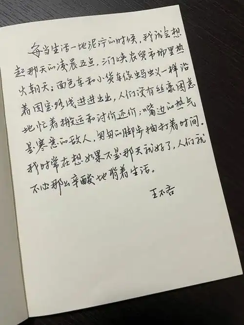 抄写王不吝的原创随笔