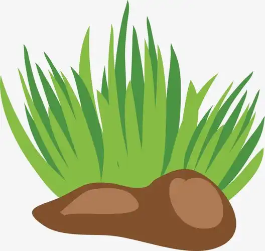 绿色草丛矢量图