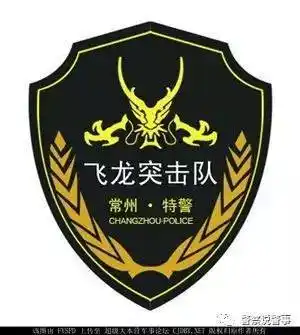 中国特警徽章简笔画