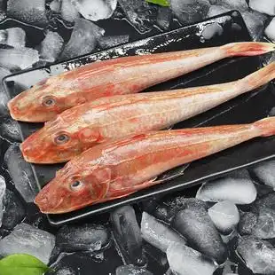 红头鱼海捕海鱼新鲜冷冻生鲜红鱼红娘子红娘鱼大 斤 5条 2斤3