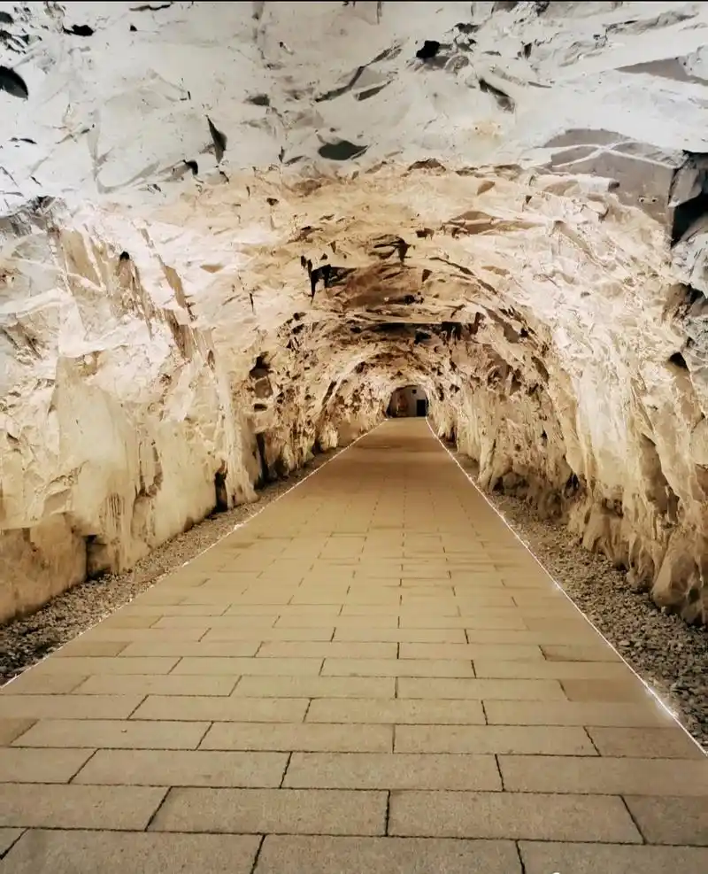 its a secret tunnel in the war.