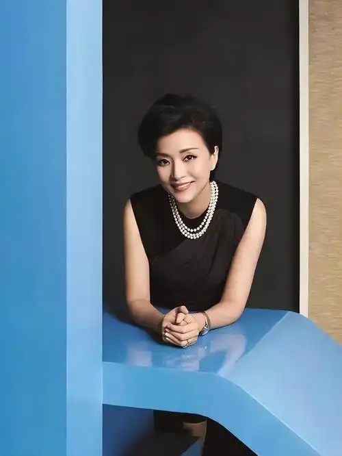 杨澜随着年龄增长,阅历增加,杨澜逐渐变身为知名企业家,著名慈善家.