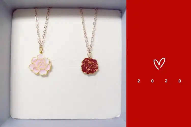 洛阳白牡丹×重庆野玫瑰