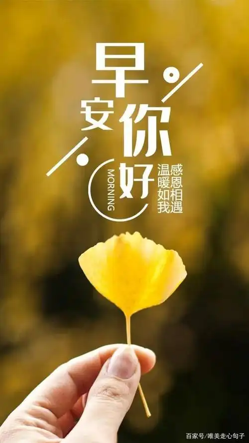 6月4日周四早上好问候祝福动态表情图片适合发朋友圈的阳光句子