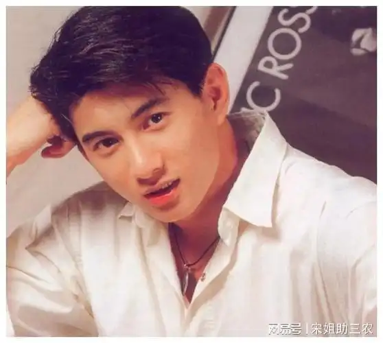 沙溢|黄磊|吴奇隆|焦恩俊|演艺生涯_网易订阅