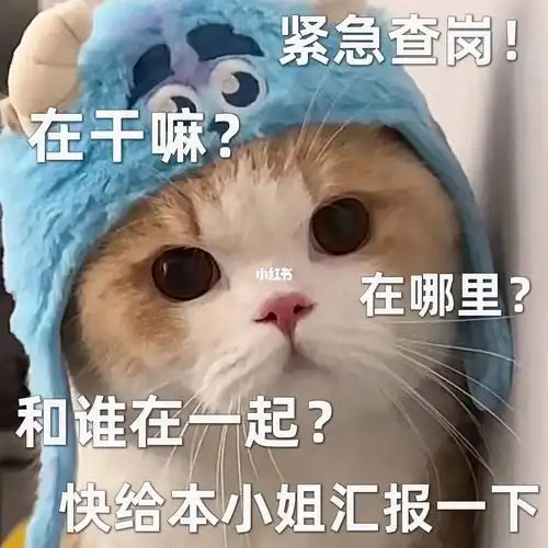 表情包紧急查岗快来汇报75