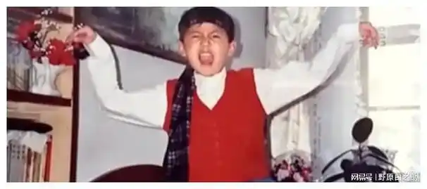 窝囊废赛道顶级演员雷佳音,是哪两位贵人让他跻身一线|徐峥|贾玲|陶虹