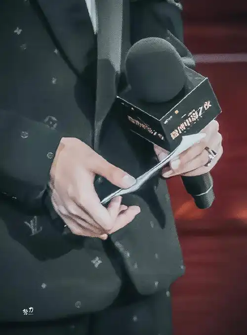 时代少年团演唱会抢票##贺峻霖 十九摘星诵捷音#摸摸这个霖霖手02