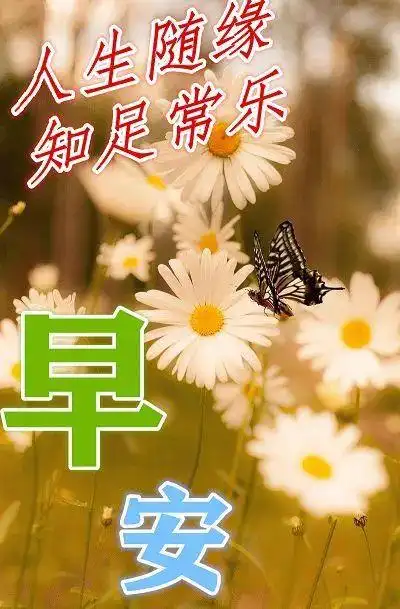 上午好2021秋季最暖心的祝福语短信精选微信问候图片表情