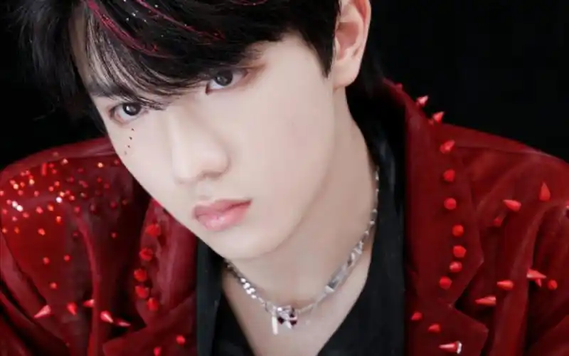 苏新皓这大概是我听帅帅说重庆话最多的一次了