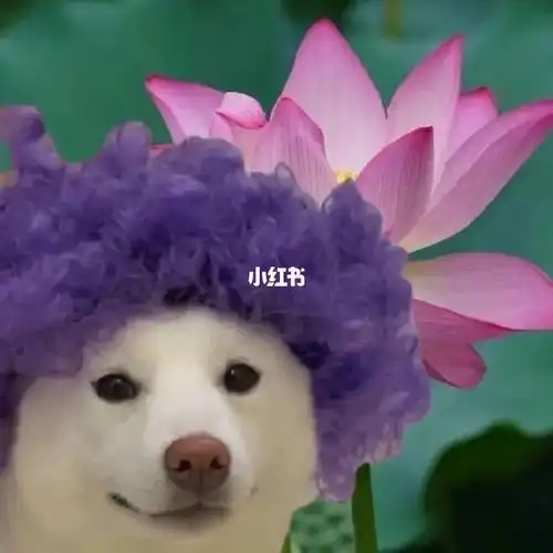 沙雕搞怪闺蜜头像