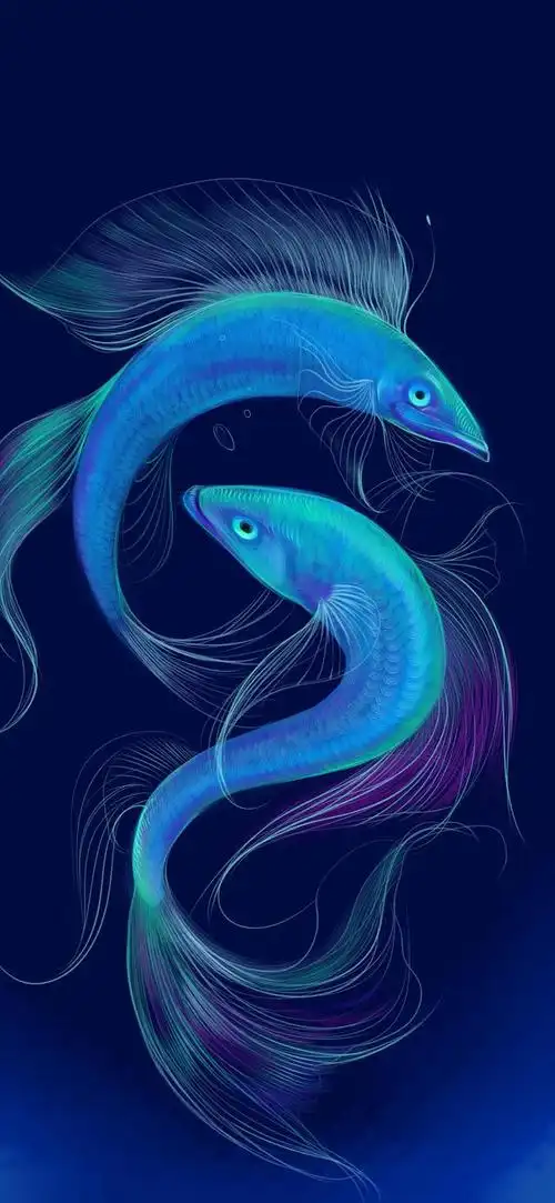 美丽的淡水鱼,最美的淡水鱼是什么鱼(壁纸:漂亮的鱼)