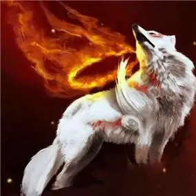 血狼头像图片大全霸气最凶的血狼头像