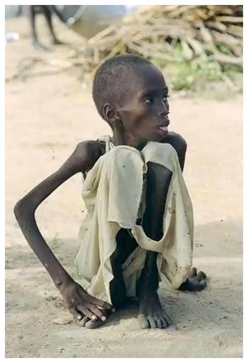 在世人面前的记者,而他本就不该也无力担负起拯救非洲饥饿人民的使命