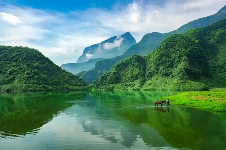 绿色崛起山水间 美丽发展金口河