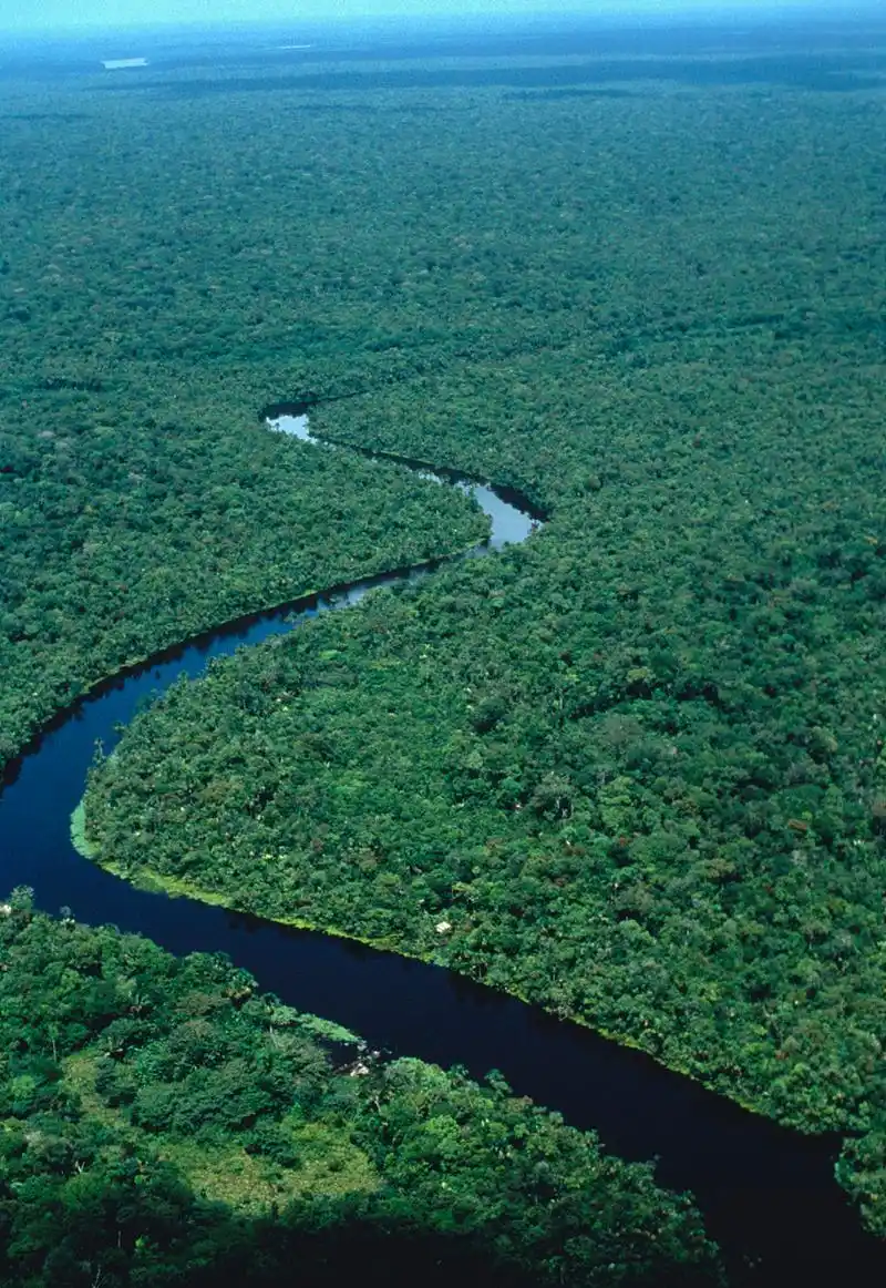 [微风]亚马逊河流量巨大,河道宽阔,河床松软,建设桥梁的技术难度和