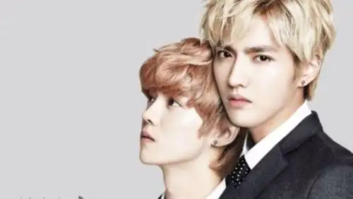 丁老师如何评价从exo出道的鹿晗,吴亦凡,张艺兴,黄子韬等人的歌唱水平