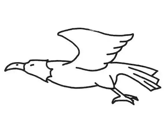 简笔画小鹰飞行