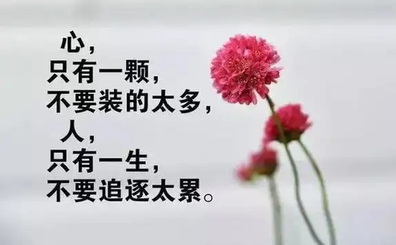 朋友圈精辟的人生感悟人生感悟精辟句子朋友圈