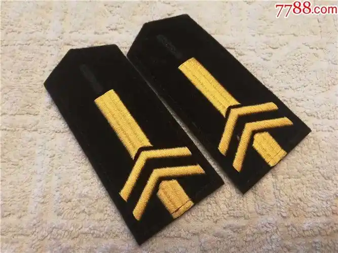 军迷收藏:全新87式陆君二级军士长软肩章一套2个小号墨绿色