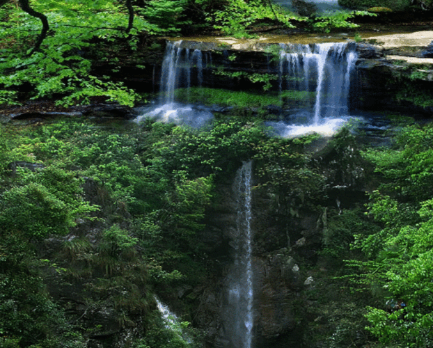 870_699gif 动态图 动图