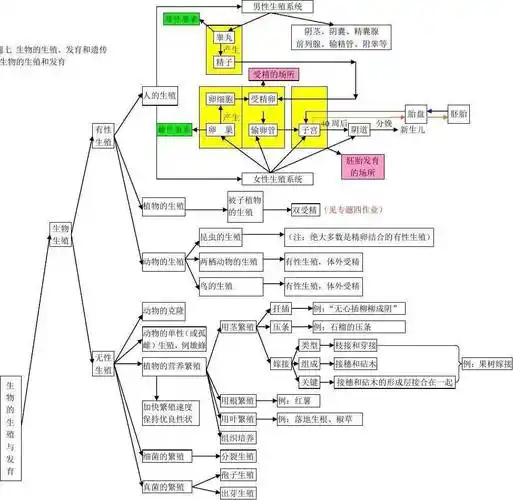 初中生物知识点框架思维导图,基础知识简洁明了,收藏!