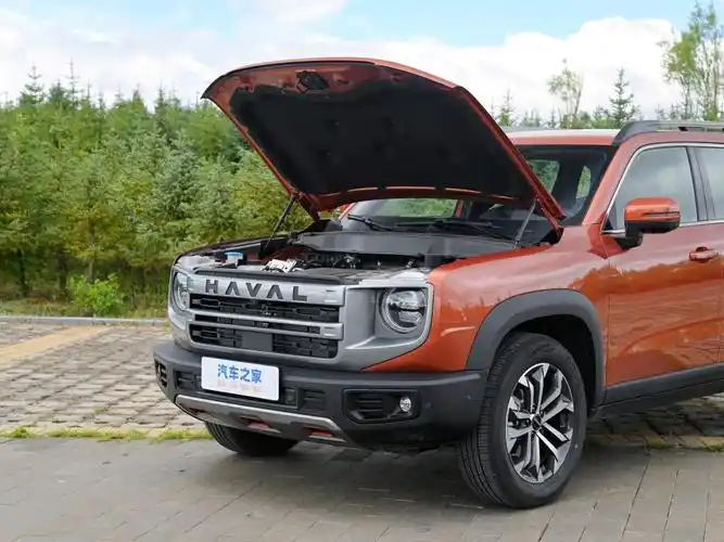 长城汽车 哈弗大狗 2024款 1.5t dct边牧版