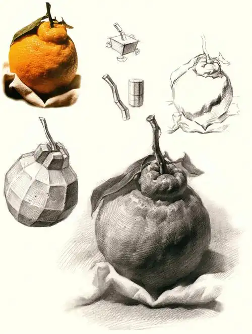 丑橘怎么画一篇笔记就能学会画法解析