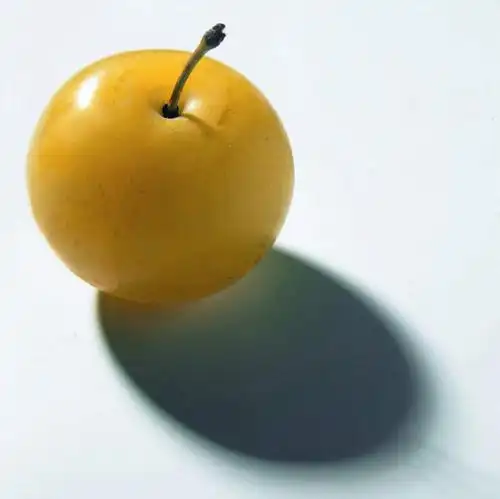 无人,横图,俯视,室内,特写,白天,白色背景,水果,阴影,新鲜,反射,影子