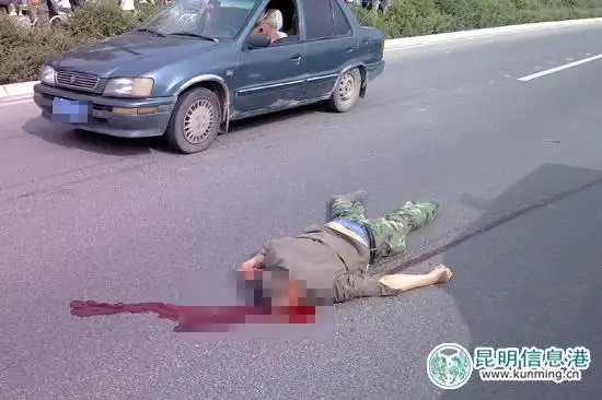 男子横穿公路被撞死 市民求治理路段交通-搜狐汽车