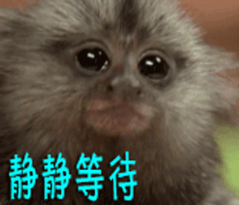 贱兮兮静静等待gif动图_动态图_表情包下载_soogif