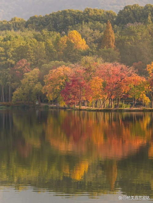 都说南京很美,这次去旅游感触颇深,说说南京当地人都不知道的事