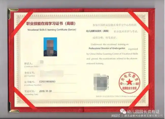 教育部中央电教馆幼儿园园长证幼儿教师等工种报考指南