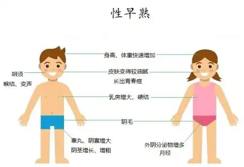 2岁女孩性发育的顺序:遗精中位年龄:14.