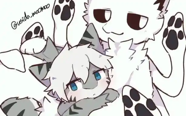 changed图片 (喵鲨专场)